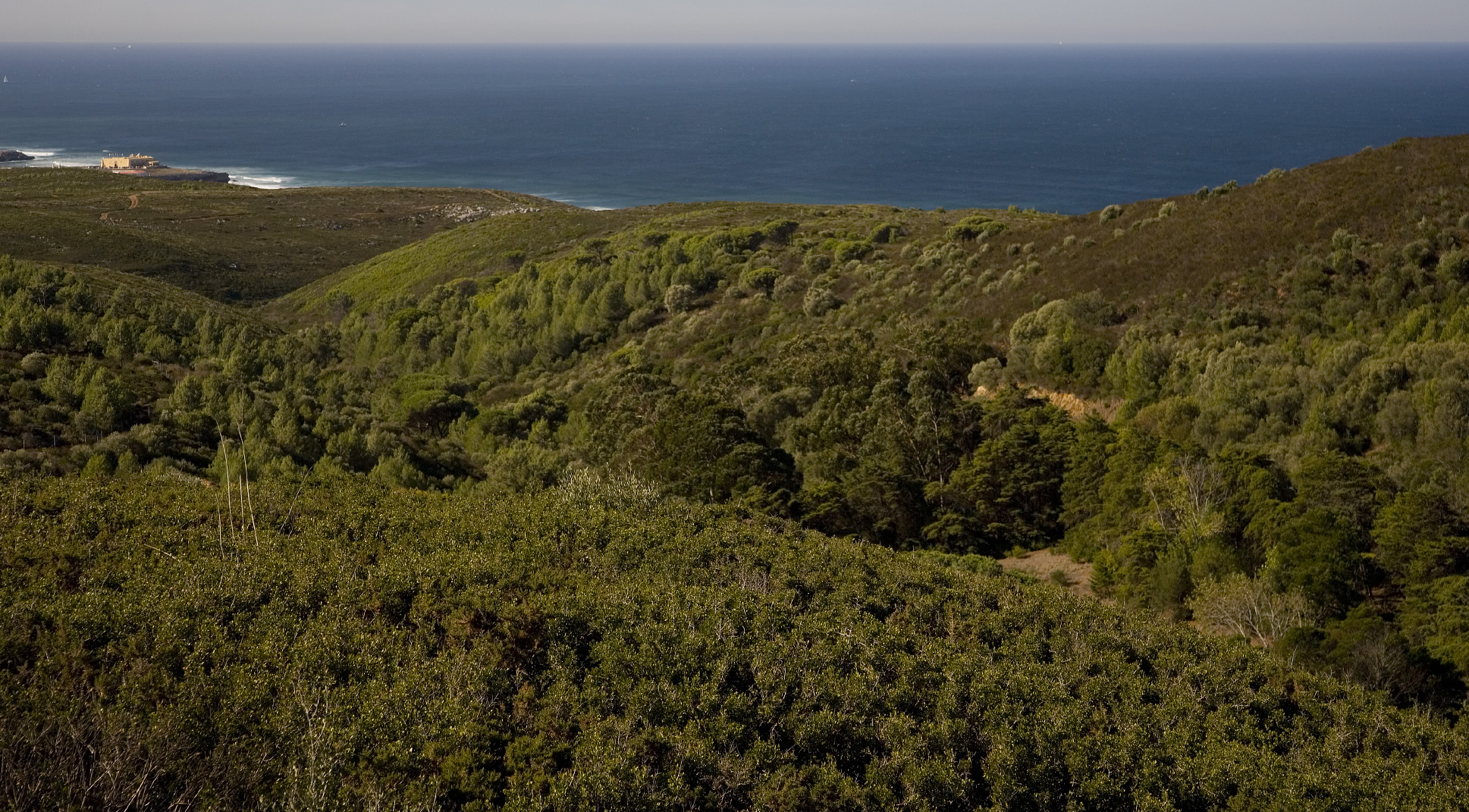 MARINHA GUINCHO