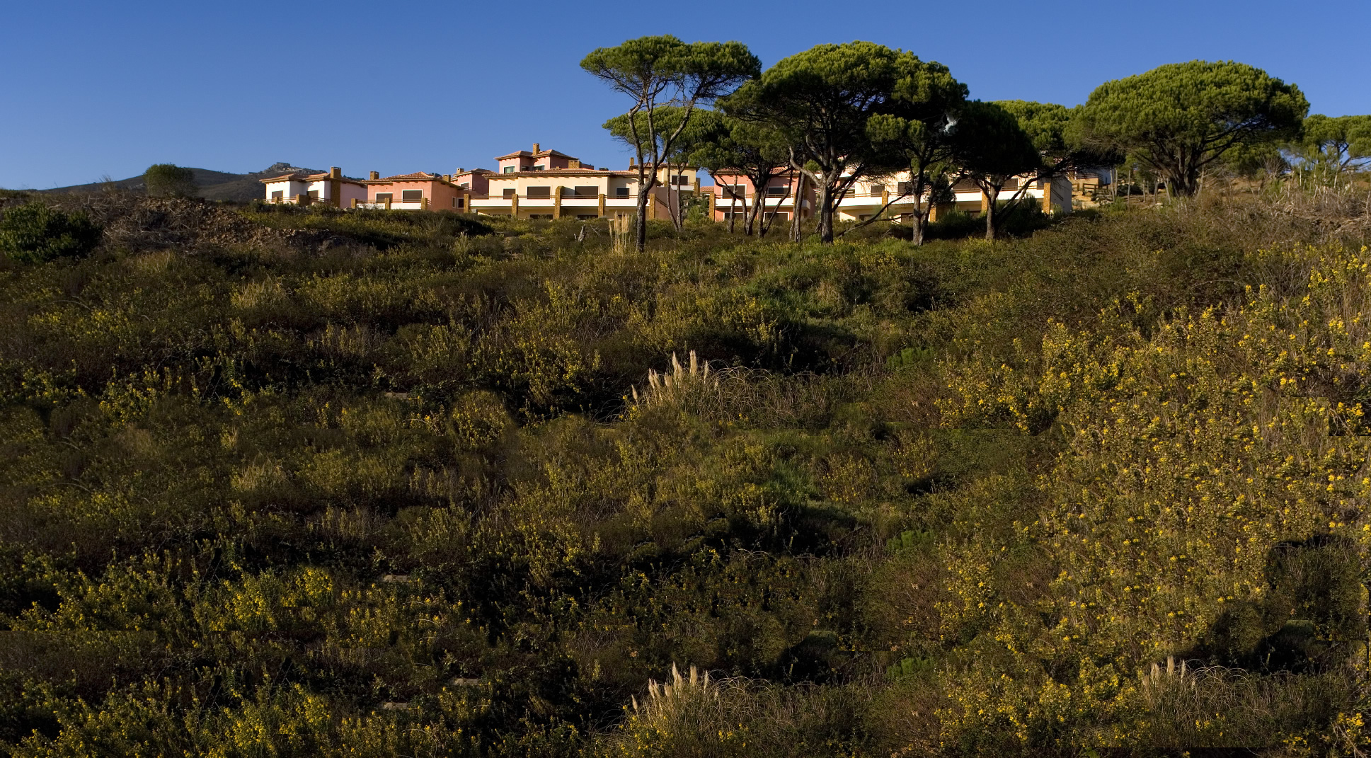 MARINHA GUINCHO